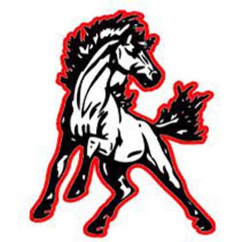 North Pemiscot Mustangs | MascotDB.com