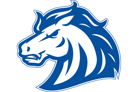 Albemarle School Colts