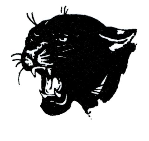 Animas Panthers