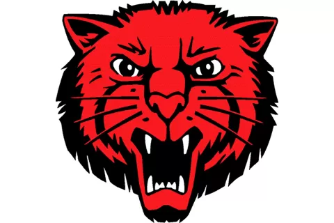 Basile Bearcats