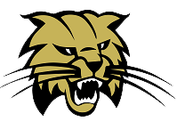 Buchholz Bobcats