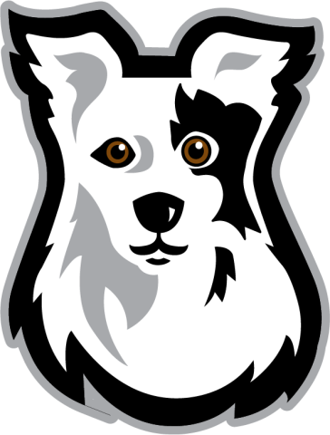 Spartanburg Community College Chasers