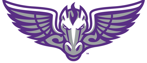 Champion Circle Champions