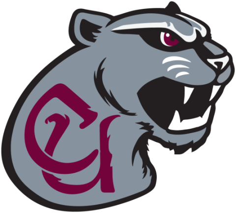 Concord University Mountain Lions | MascotDB.com