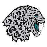 Forestview Jaguars