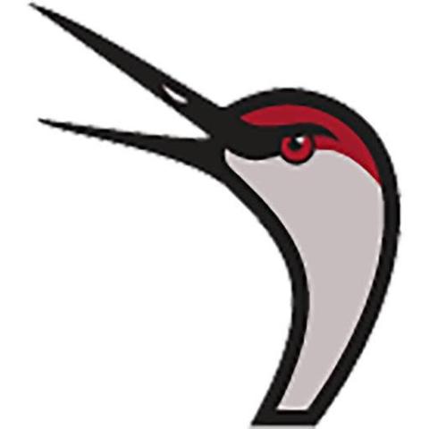 Grand Island Fightin' Cranes