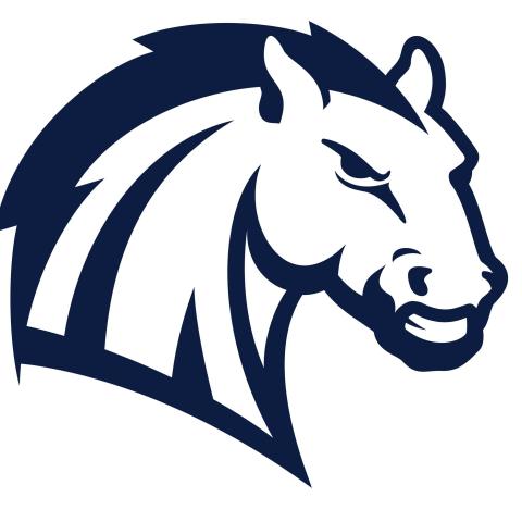 Hillsdale College Chargers