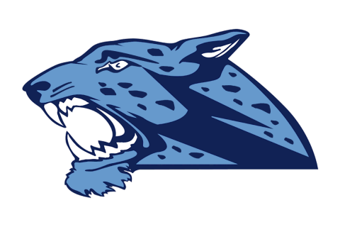 Johnson Jaguars