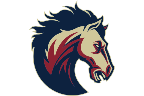 Mallard Creek Mavericks