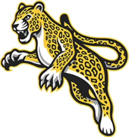 Mansueto Leopards