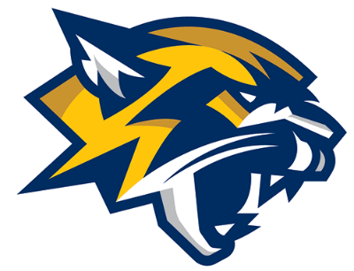 Northeast Iowa Community College Cougars