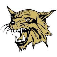 North Gaston Wildcats