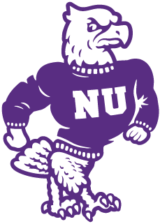Niagara University Purple Eagles