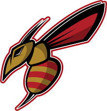 Salisbury Hornets