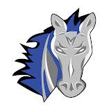 Smoky Mountain Mustangs