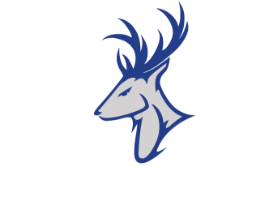 Stanton University Fighting Elks