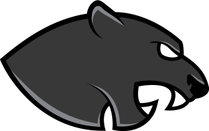 Valley Christian Panthers