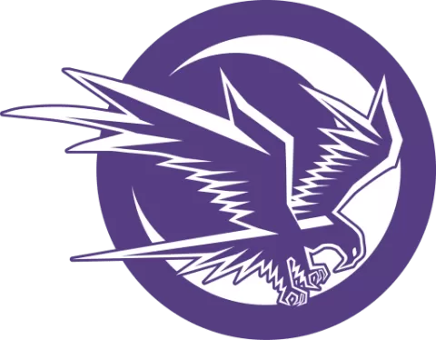 West Canada Valley Nighthawks