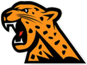 Zillah Leopards